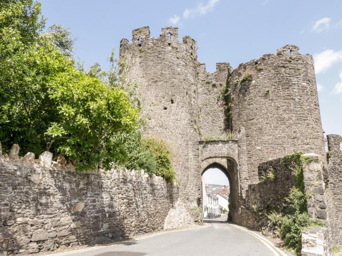 Villa Oakwood Stables Conwy Exterior foto